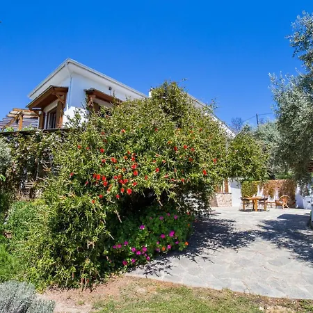 Villa Miriana Aliki * Alikí